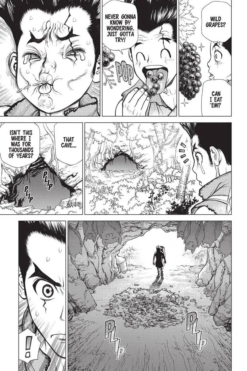 Chapter 2 image 5
